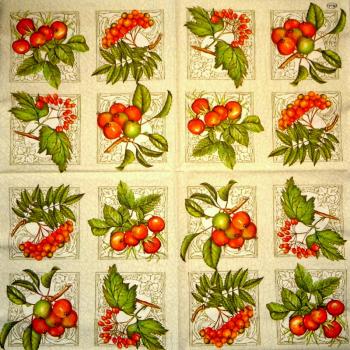 080 Rosen - 3-lagig